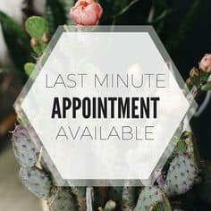 Last Minute Appointment